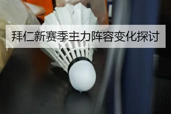 拜仁新赛季主力阵容变化探讨